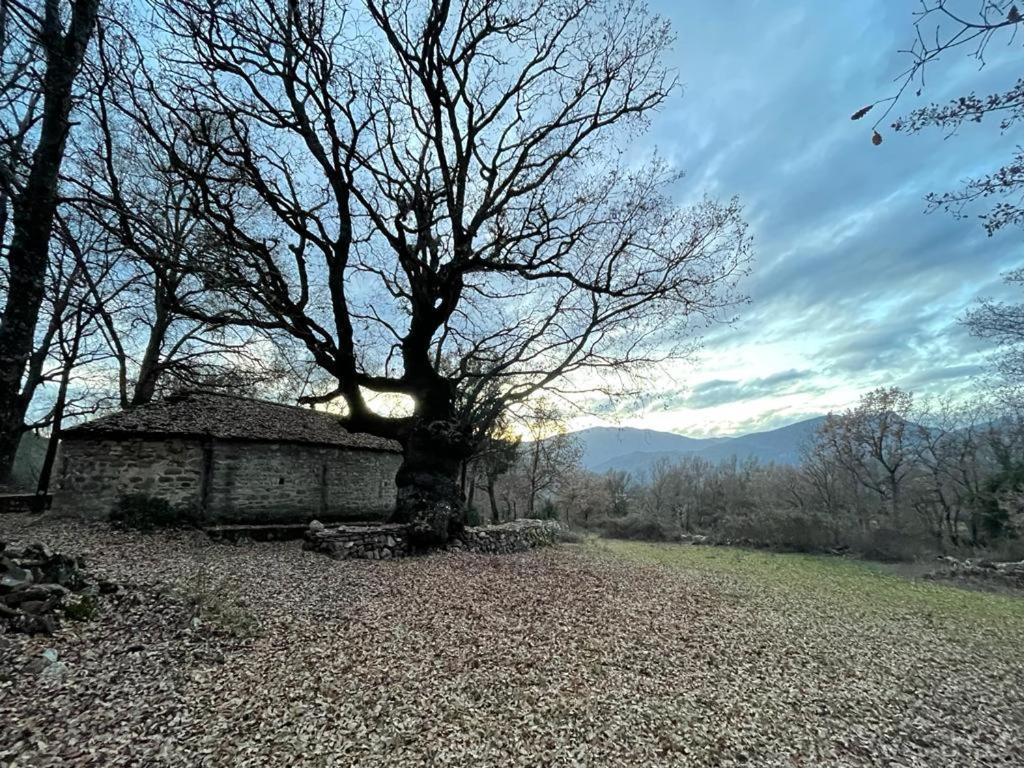 Casa Rural " El Retiro" Laspuña Dış mekan fotoğraf